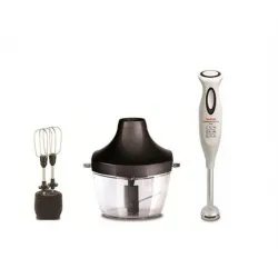 Blender TEFAL (MasterBlend)